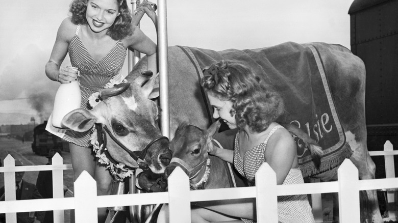 Elsie the Cow in 1940s