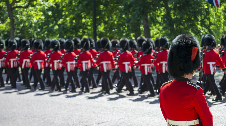 British soldiers in red uniforms march along tree-lined path