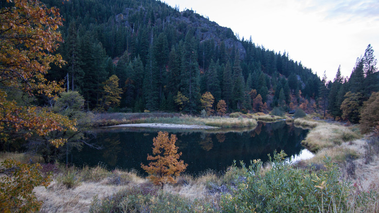 Plumas National Forest river