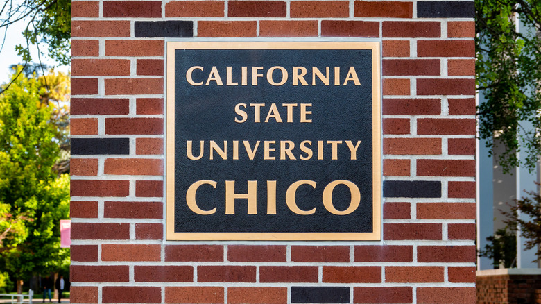 California State University Chico