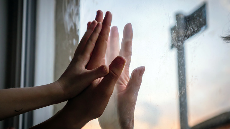 Two palms on glass