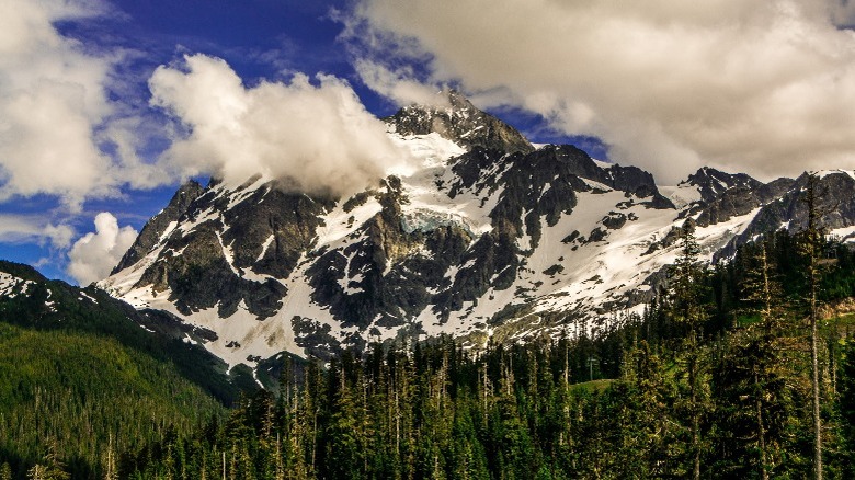 Mount Baker, Washington state