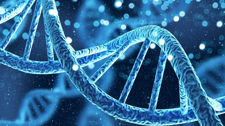 strand of human DNA
