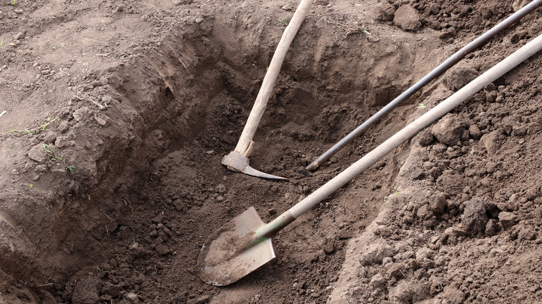 Digging tools laying in pit