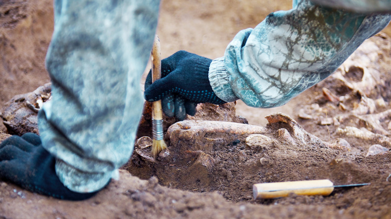 An archaeologist excavating