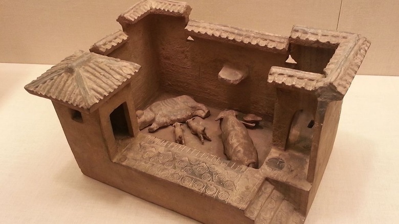 pigsty latrine model