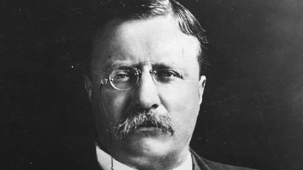 Theodore Roosevelt