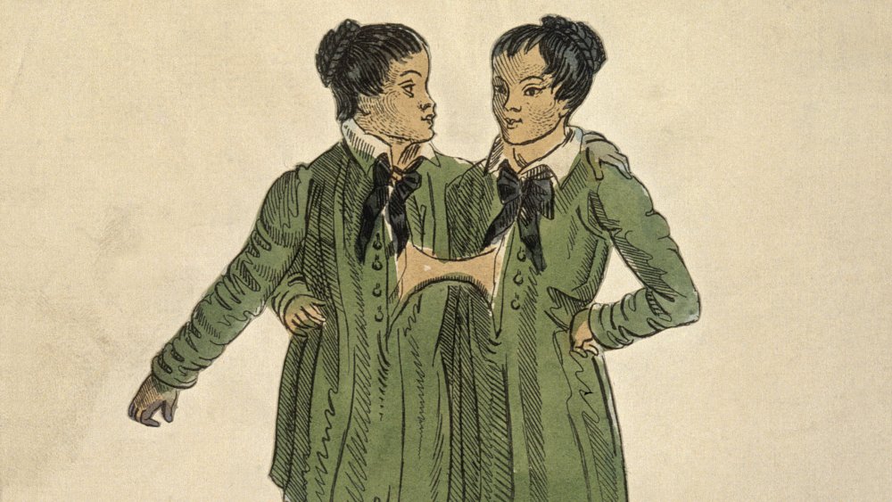 Chang and Eng the Siamese twins. Coloured etching. Description	