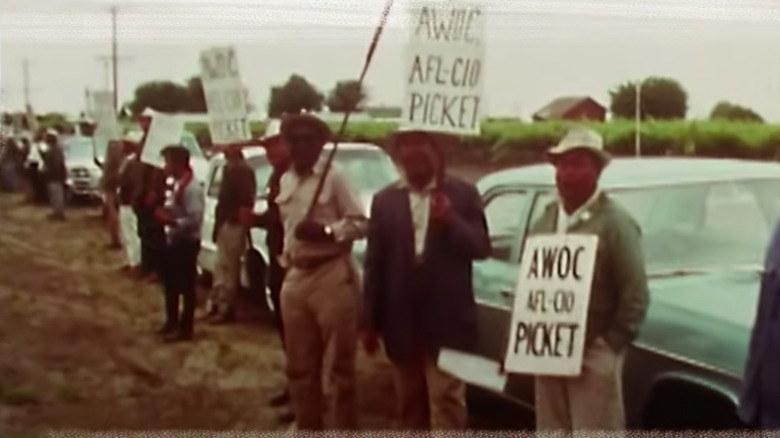 Delano Grape worker strike