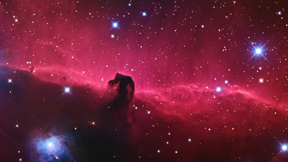 Stars shining in Horsehead Nebula 