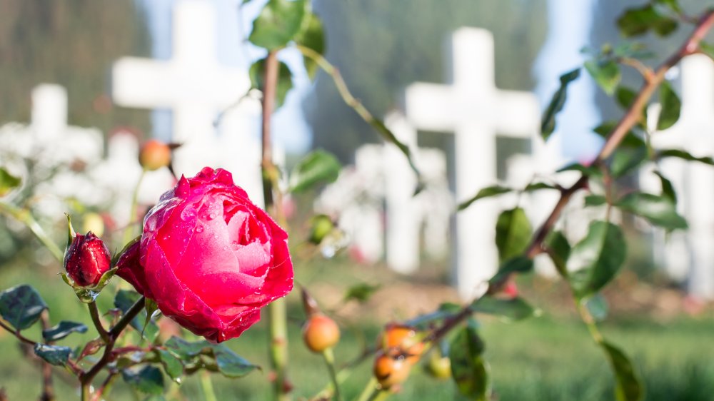 verdun cemetery