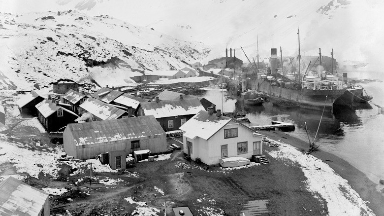 A whaling station on South Georgia Island