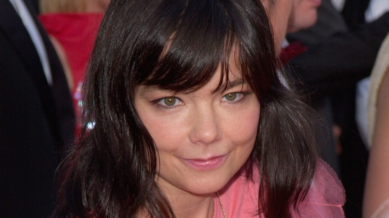 Bjork in pink dress