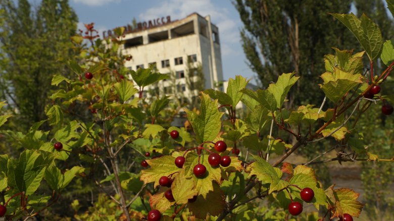 Pripyat