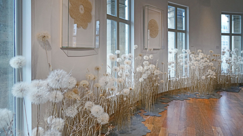Duy Anh Nhan Duc's dandelion art installation.