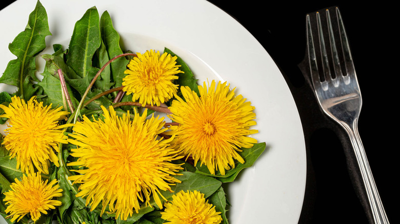 A plate of dandelion leaves and flowers.