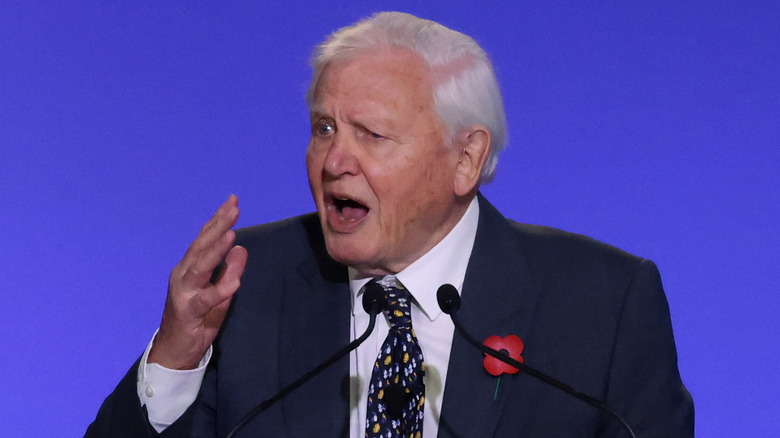 David Attenborough speaking at COP26