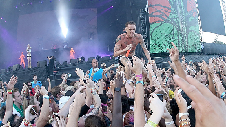 Die antwoord stage crowd