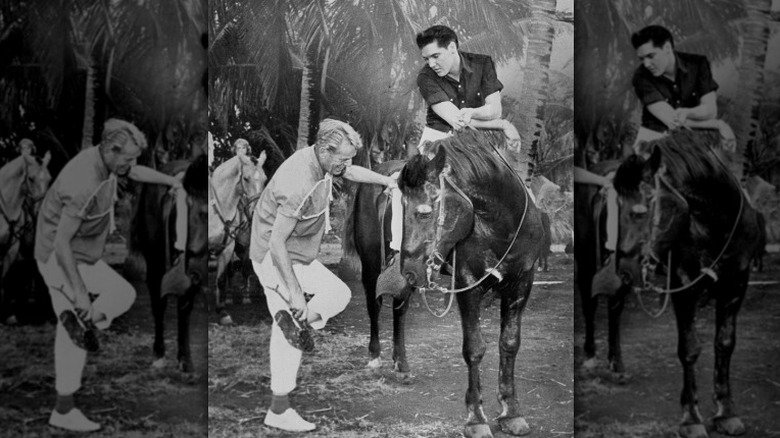 Elvis Presley rides a horse