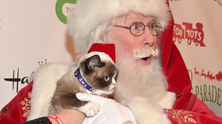 Grumpy Cat and santa