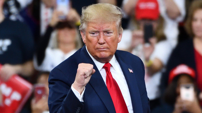 Donald Trump holding up his fist at a rally