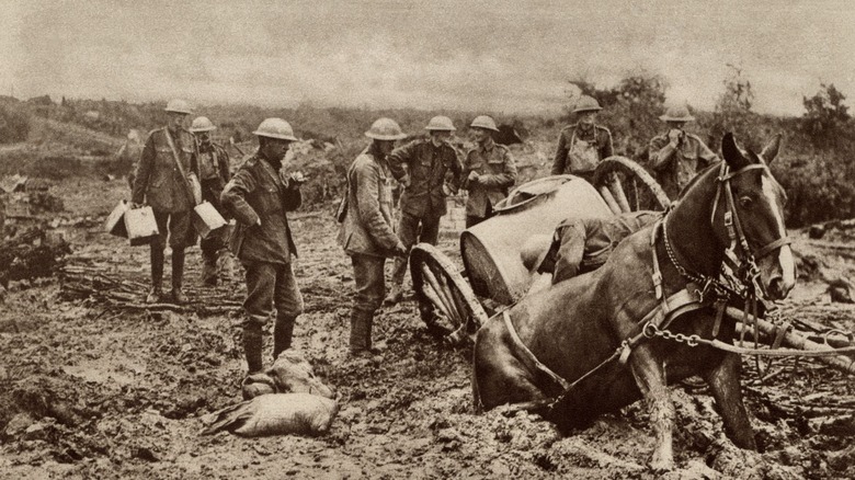 World War I battle in Flanders, with a horse up to its knees in mud