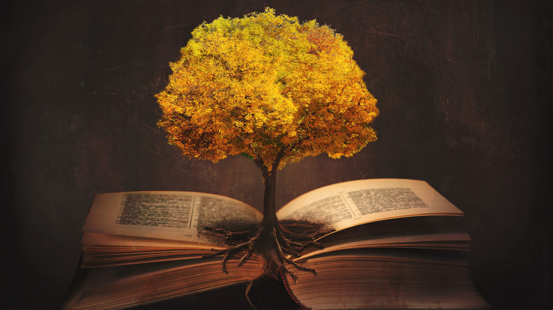 tree growing from book