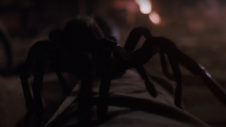 Jamie Hyneman's animatronic spider