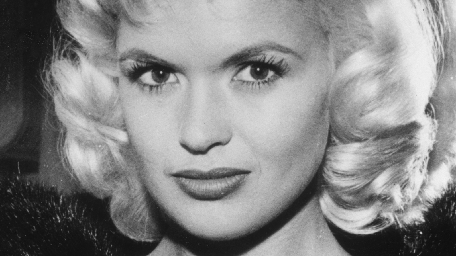 1600px x 899px - The Untold Truth Of Jayne Mansfield
