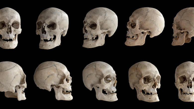 human skulls black background