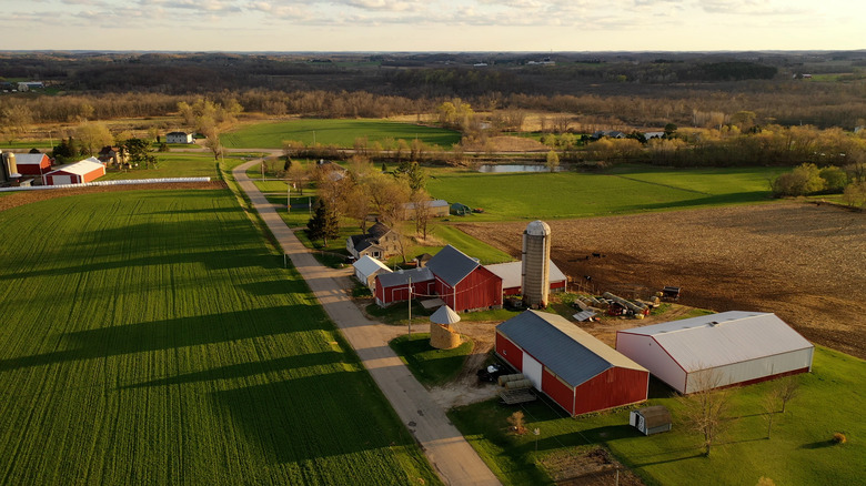 farmland