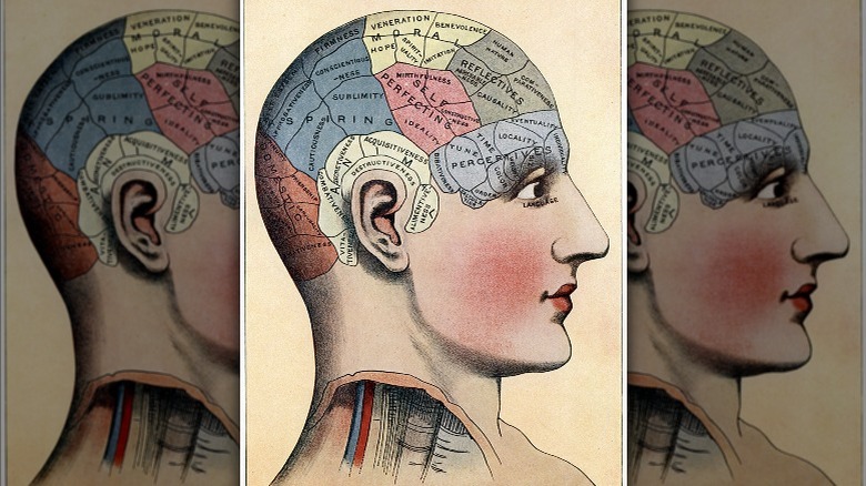 Diagram of phrenology map