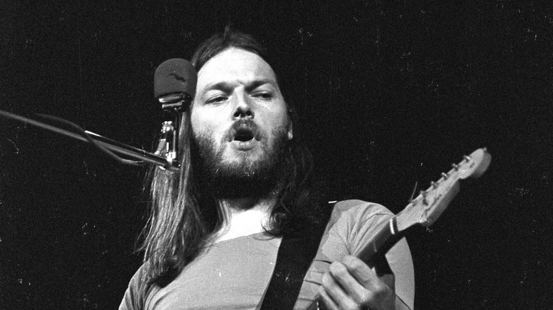 Dave Gilmour in 1977