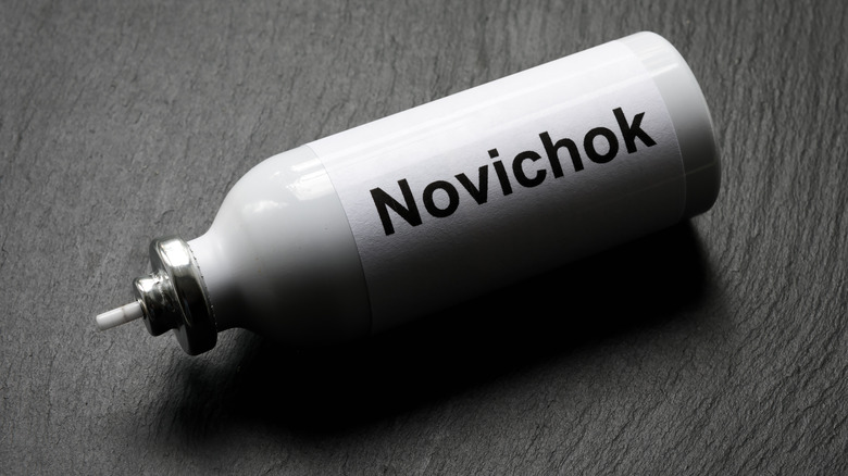 Bottle of novichok rests on ground