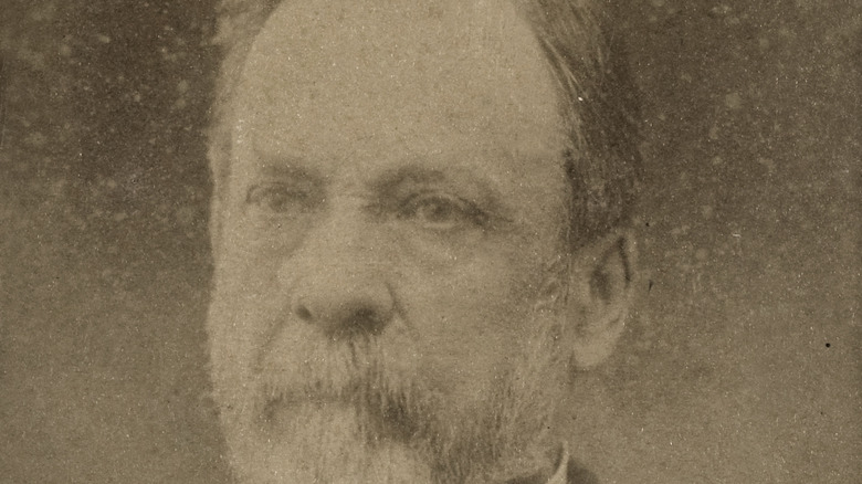 Louis Pasteur in 1878