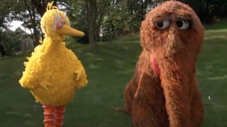 Snuffy and Big Bird grass