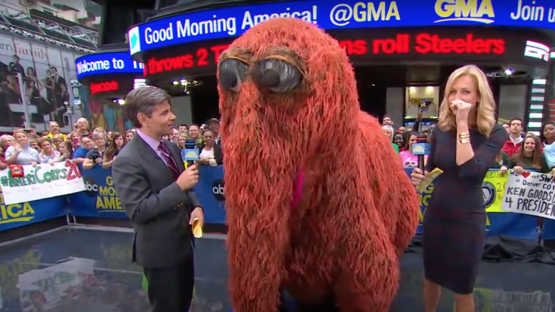 Snuffy on Good Morning America 