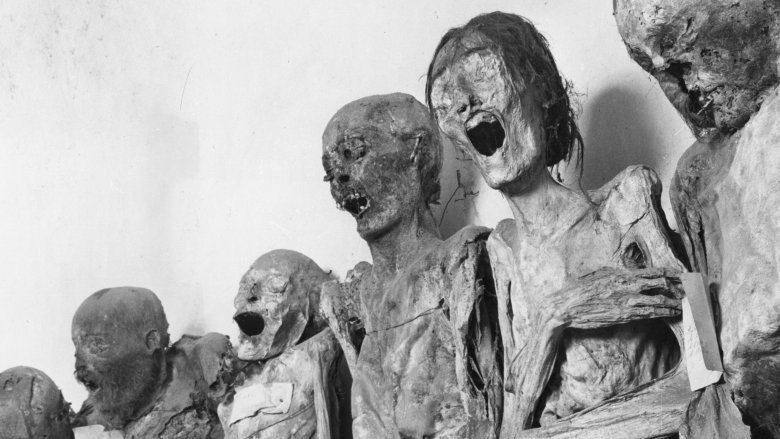 Frankenmummies