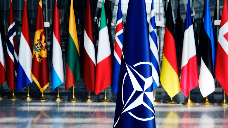 NATO flags