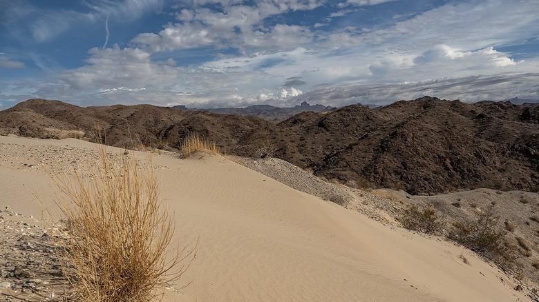 dry bush lower left in sand dune foreground, mountains cloudy sky in distance  A scenic view from Lake View Trail