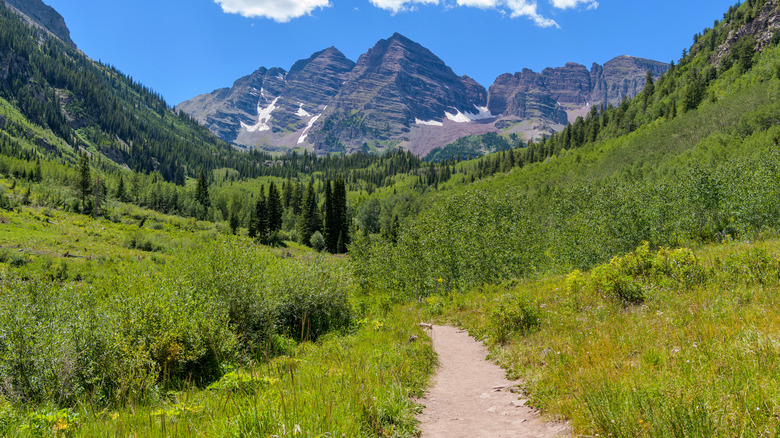 trail in Colorado