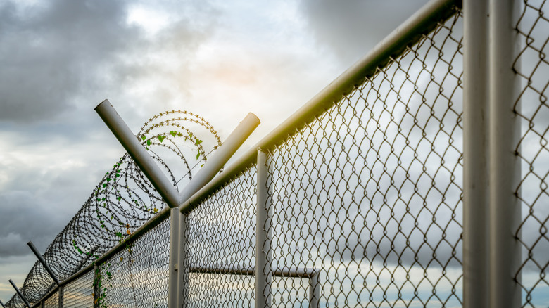 Prison security fence. Barbed wire security fence