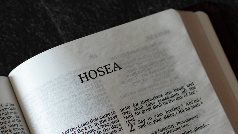 book of hosea