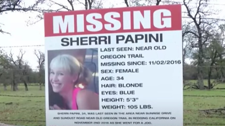 Sherri Papini Missing Poster