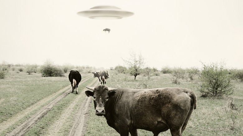 UFO aliens cows 