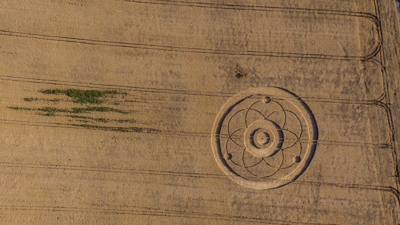 crop circle sherman ranch