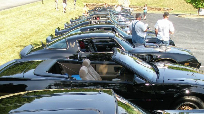 A collection of Trans Ams