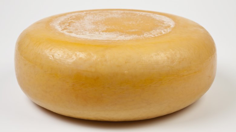 cheese wheel