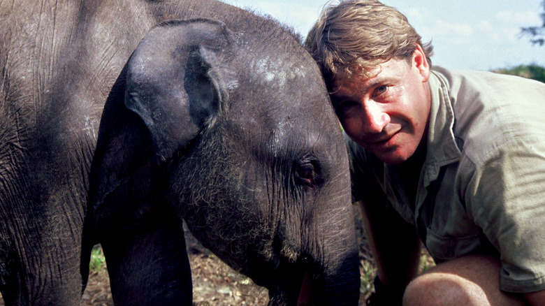 Steve Irwin headbutting elephant