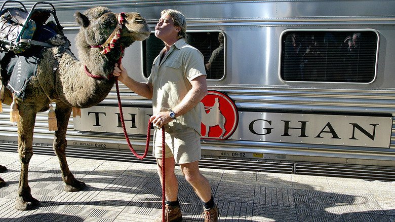 Steve Irwin kissing camel